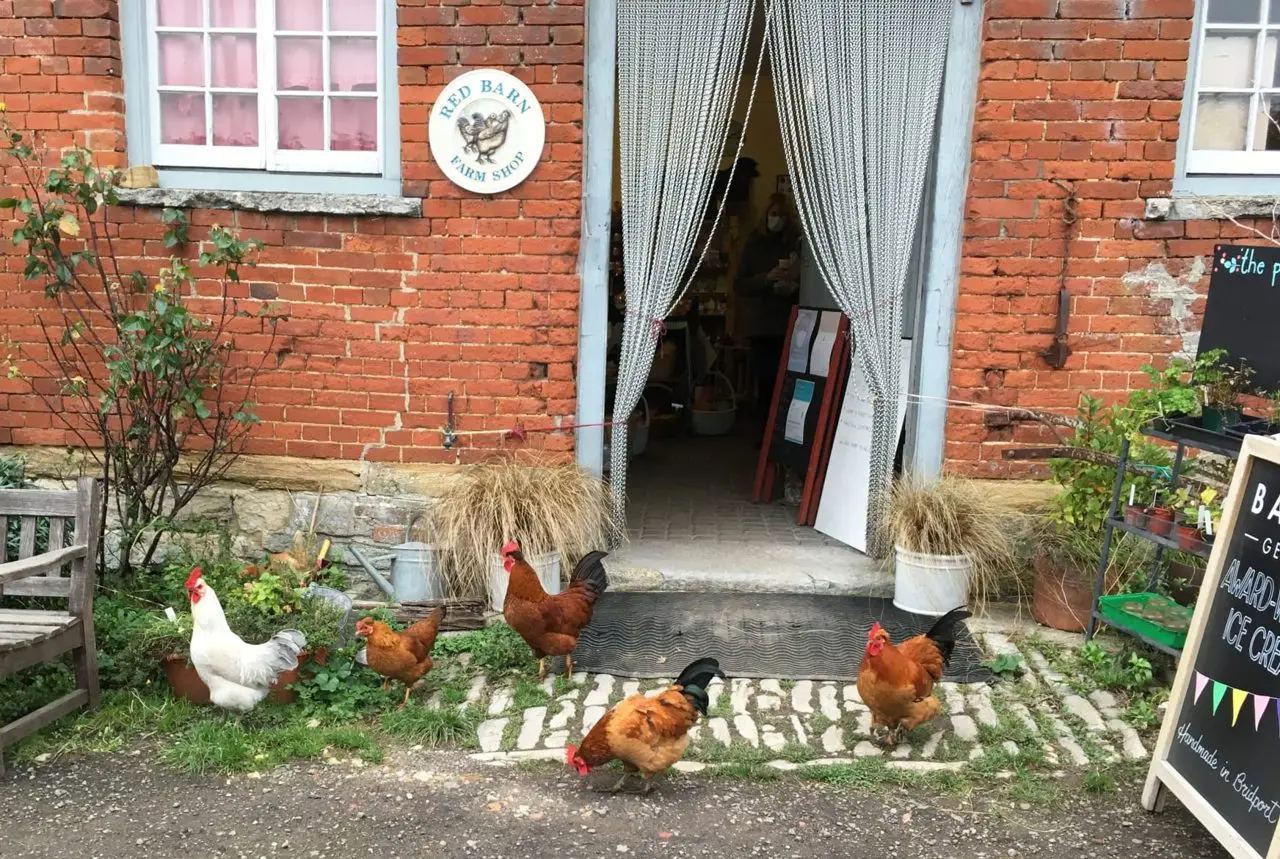 Red Barn Farm Shop photo 1