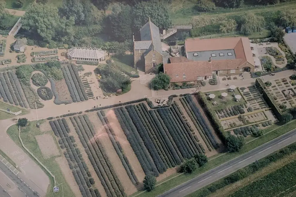 Norfolk Lavender (Farm Shop) photo 3