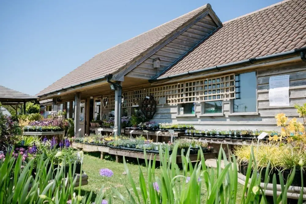 Kiln Farm Nursery photo 1