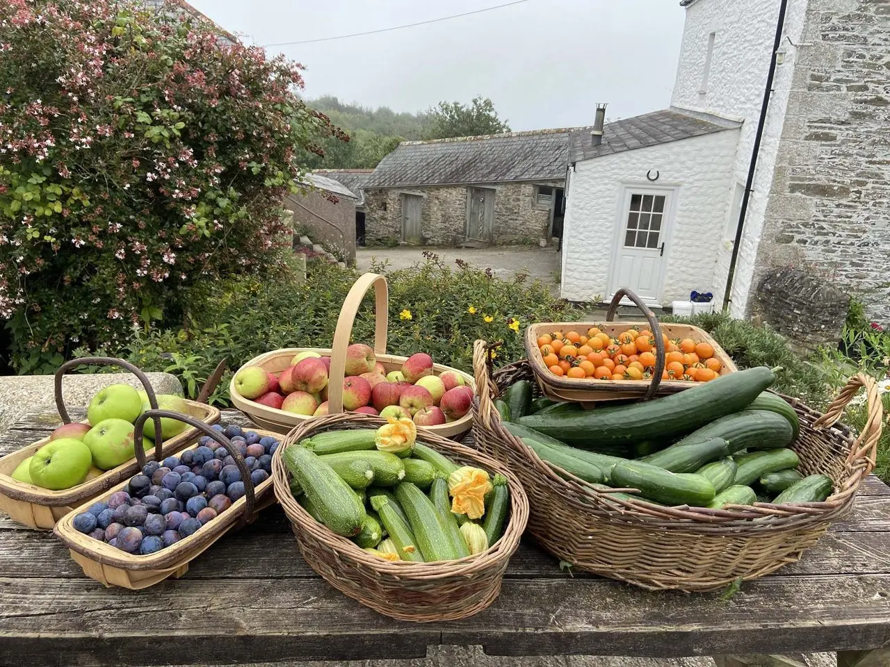 Pendower Farm Shop photo 2