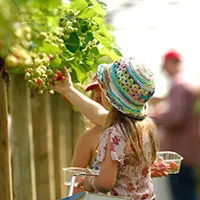 Trevaskis Farm photo 4