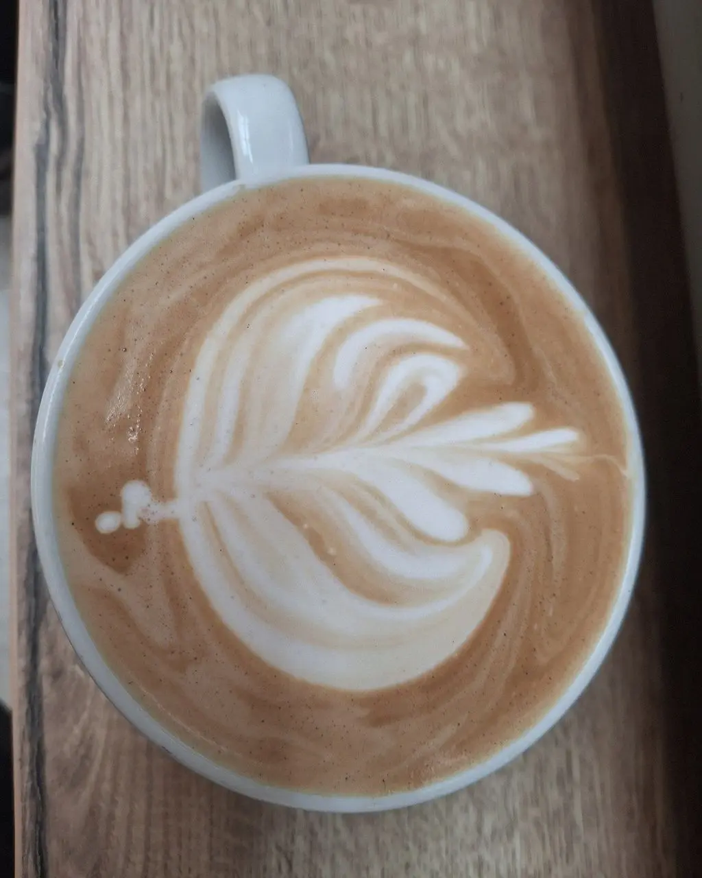 Mitchell Fruit Garden & Cafe photo 1