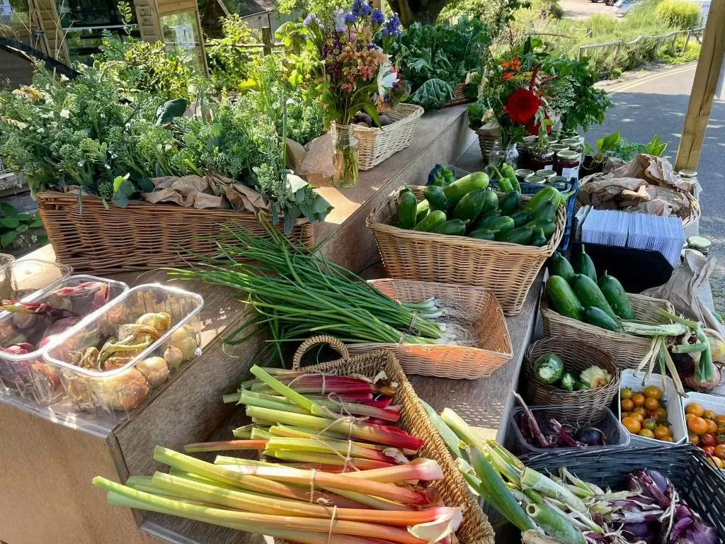 Horsenden Farm (Friends of Horsenden) photo 3