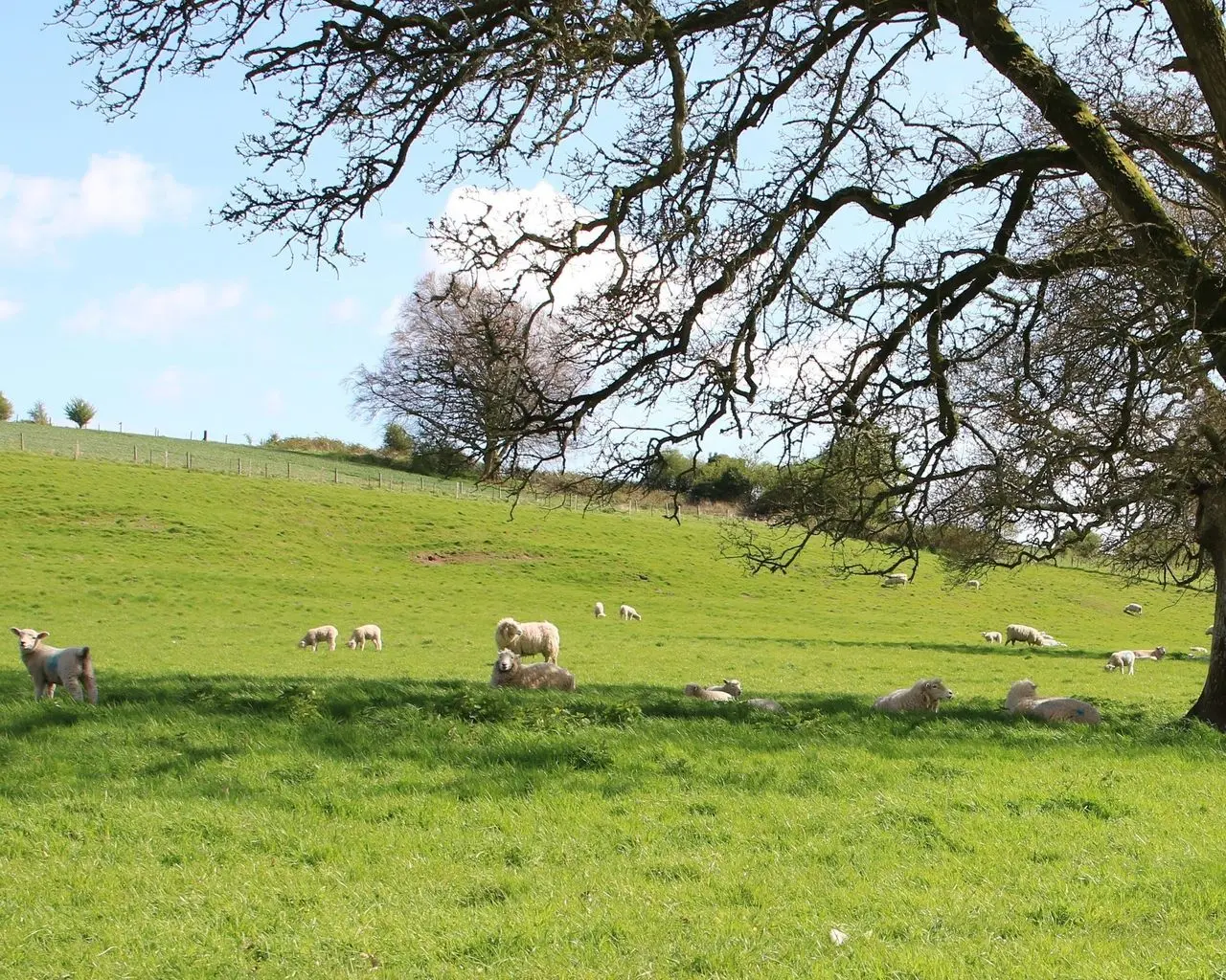 Jurassic Coast Farm Shop main photo