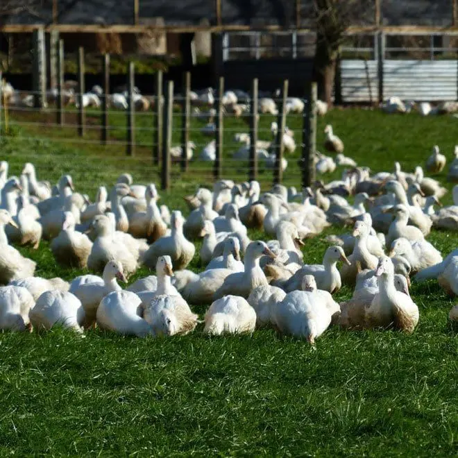 Jurassic Coast Farm Shop photo 1