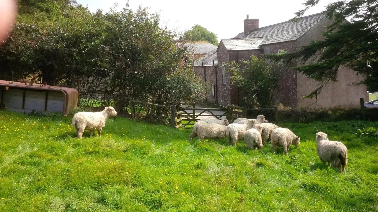 Swannacott Manor Meats photo 1