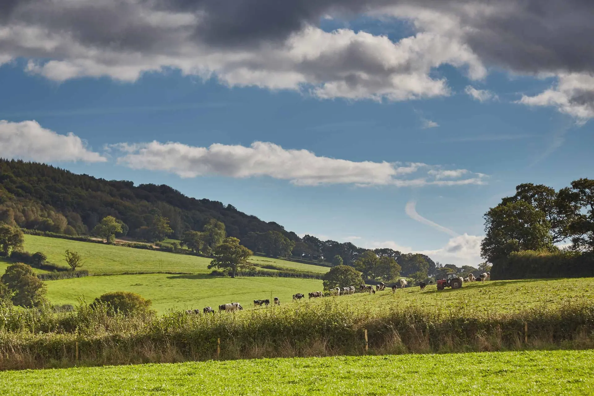 Combe Farm Shop