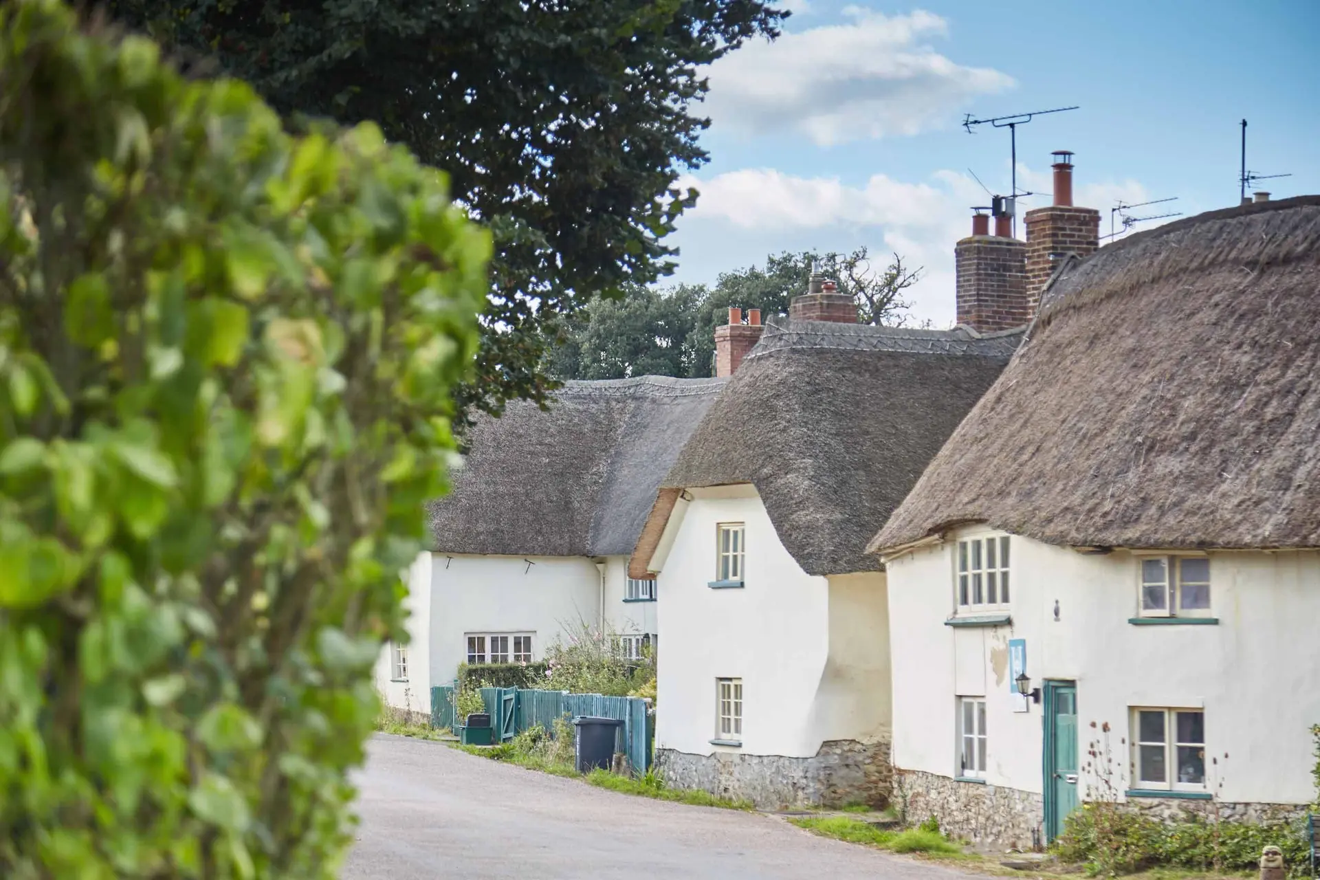 Combe Farm Shop photo 1