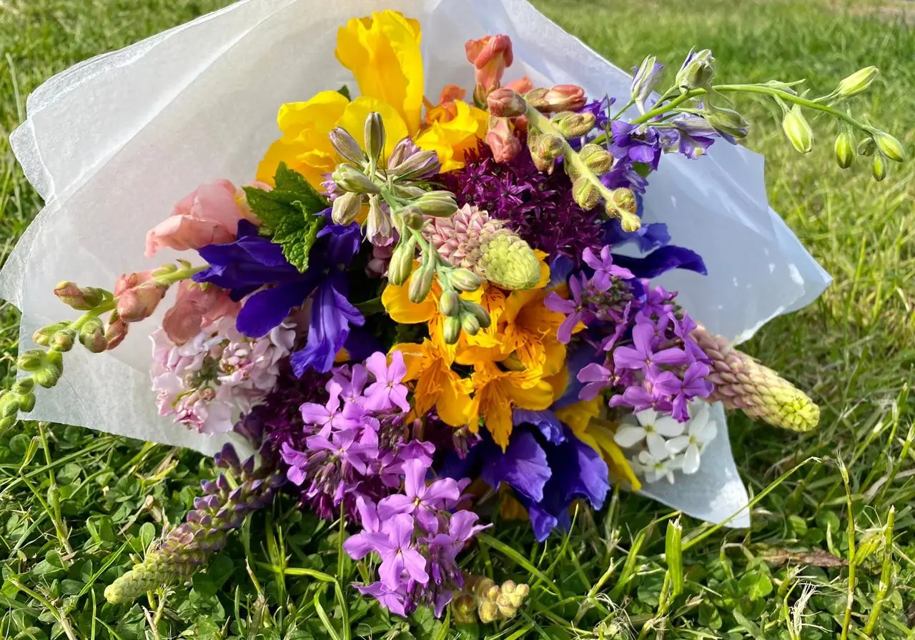 Trigon Farm photo 1