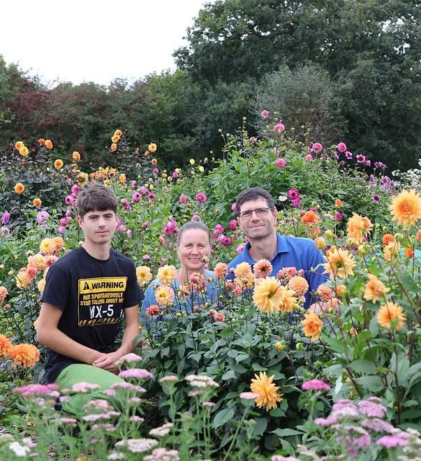 Trigon Farm photo 4