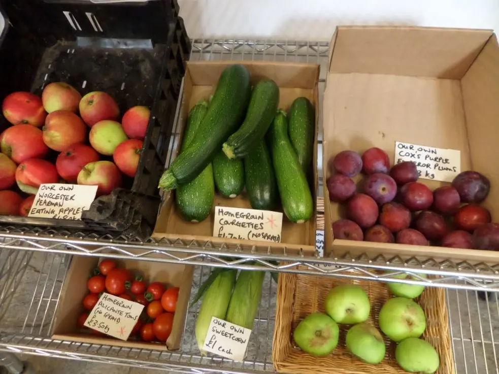 School Farm photo 3