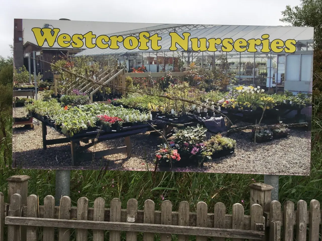 Westcroft Eggs photo 1