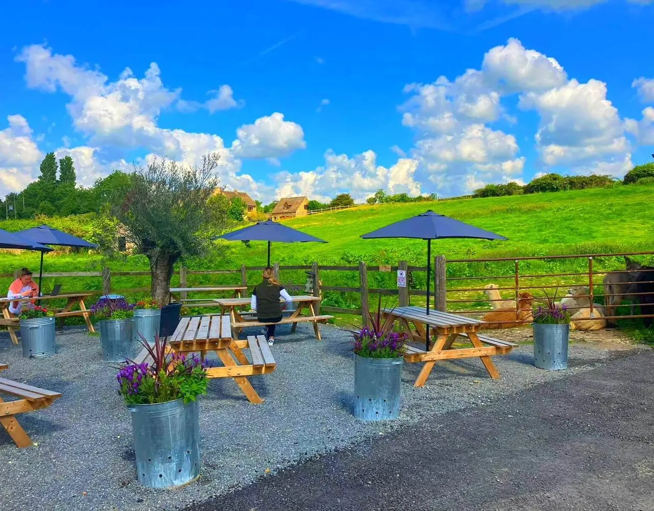 Burton Farm Shop & Kitchen main photo