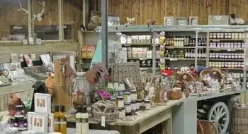 Jacksons Nurseries photo 1