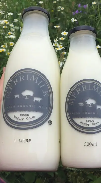 Merrimilk photo 3