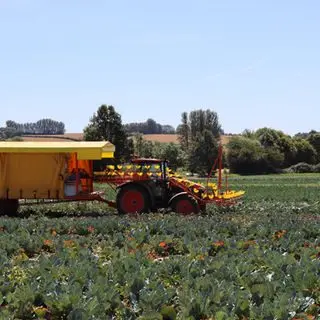 Vegetable Matters photo 3
