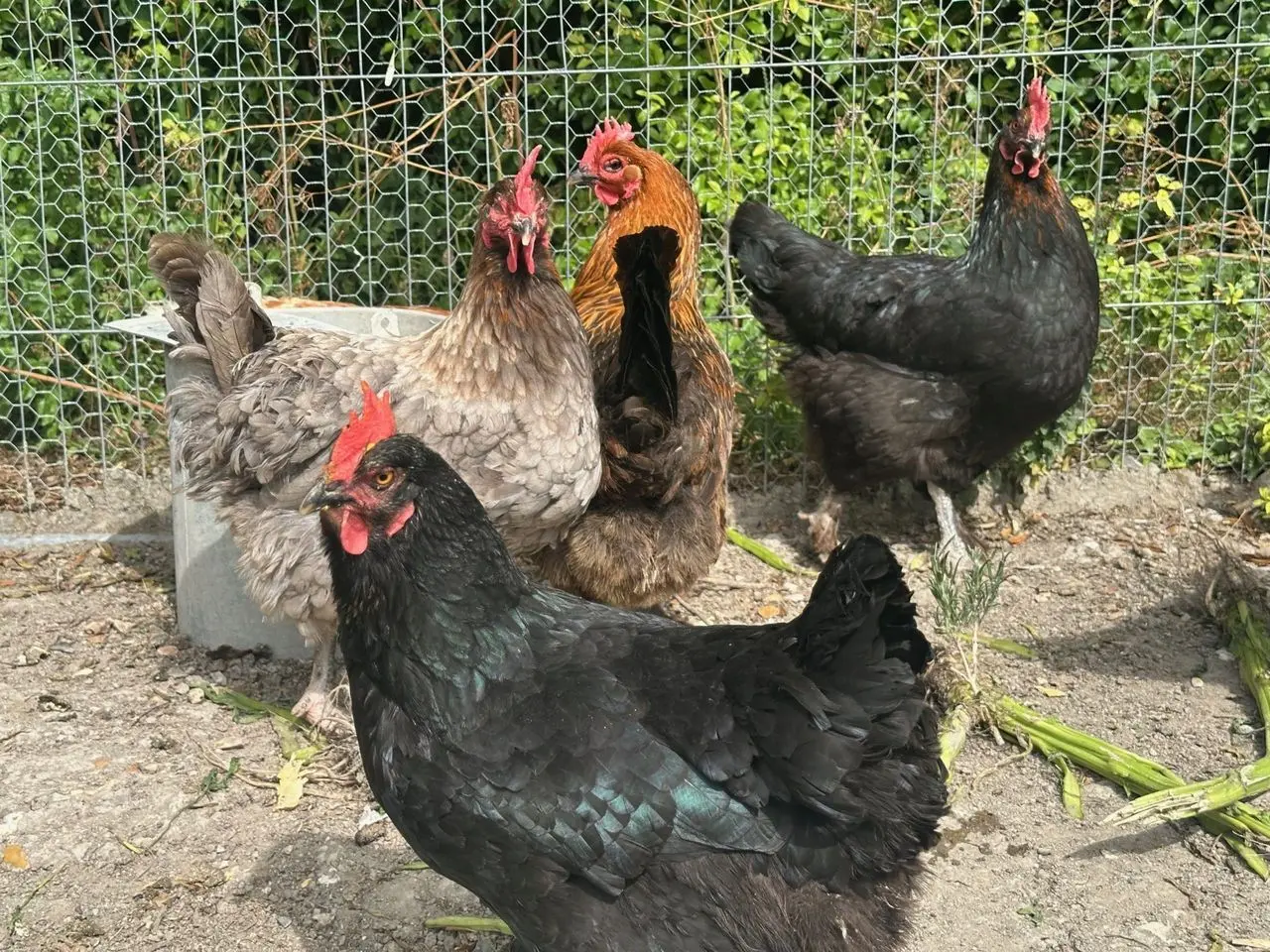 The Prospects Trust (Snakehall Farm) photo 2