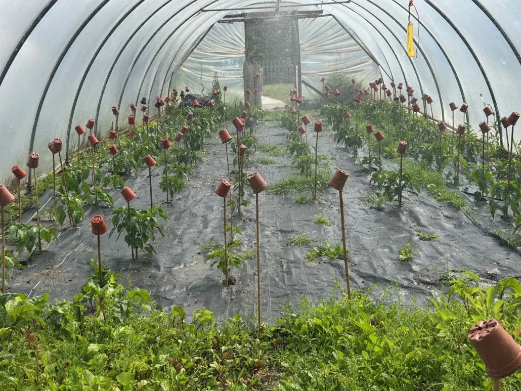 The Prospects Trust (Snakehall Farm) photo 3