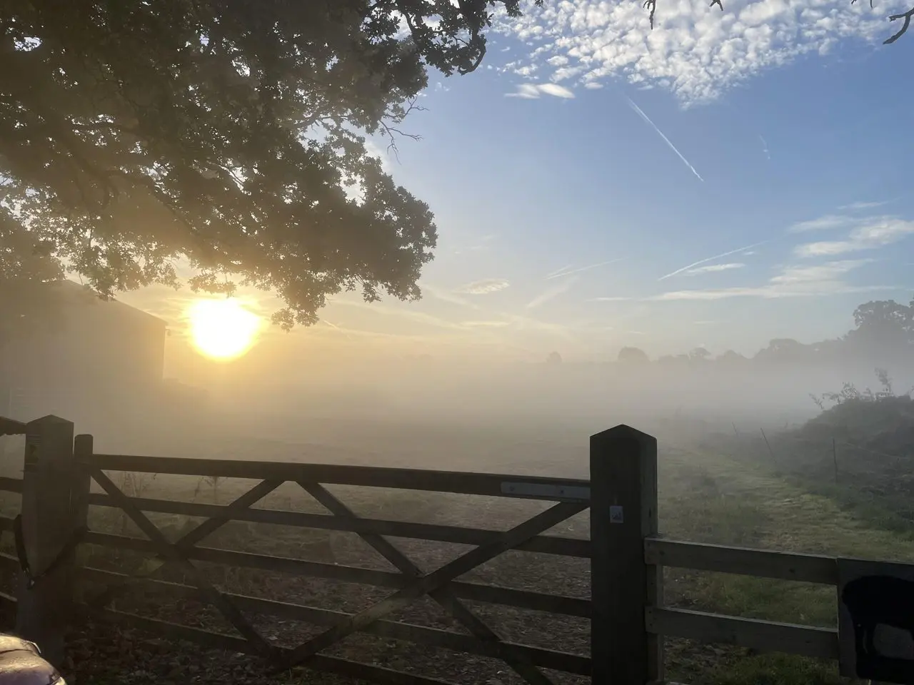 Thornstead Farm main photo