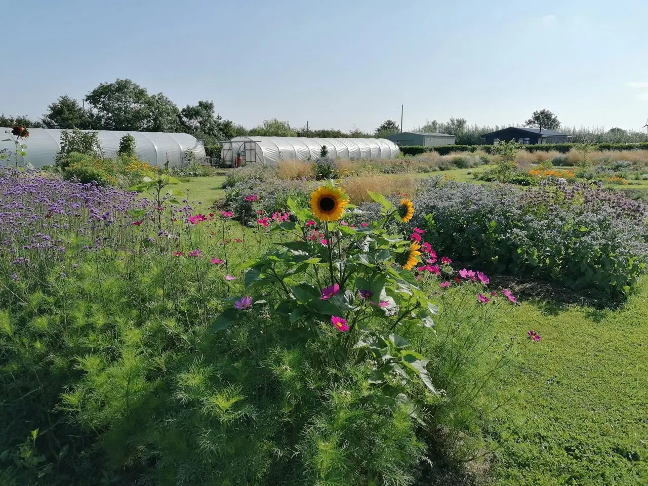 Garden Farm Flowers photo 1