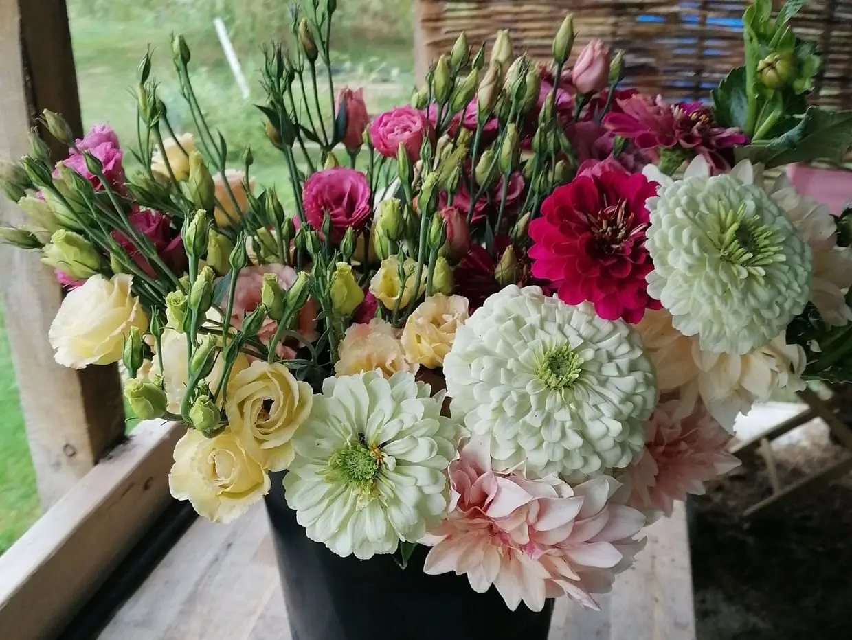 Garden Farm Flowers photo 2