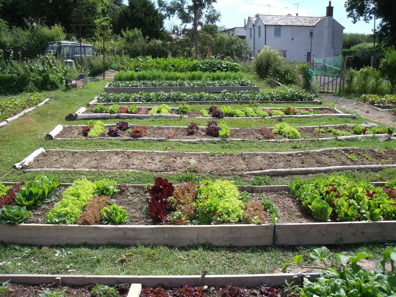 Dengate's Farm Stall photo 2