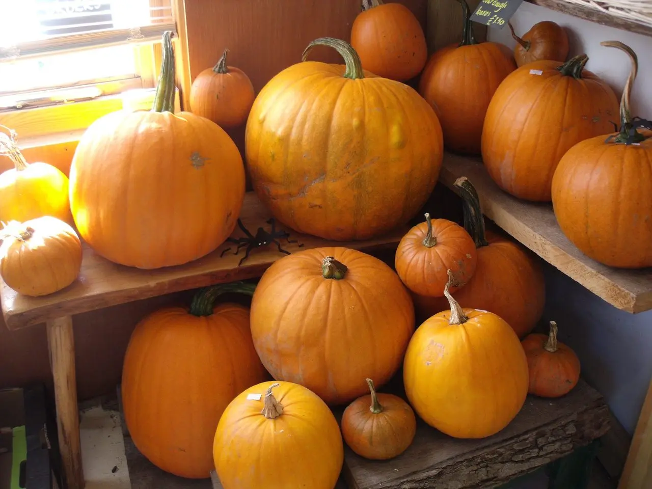 Dengate's Farm Stall photo 3