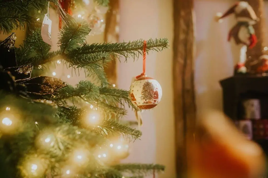 Maplestead Farm Christmas Barn photo 1