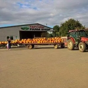 V & P Collins Farm Shop main photo