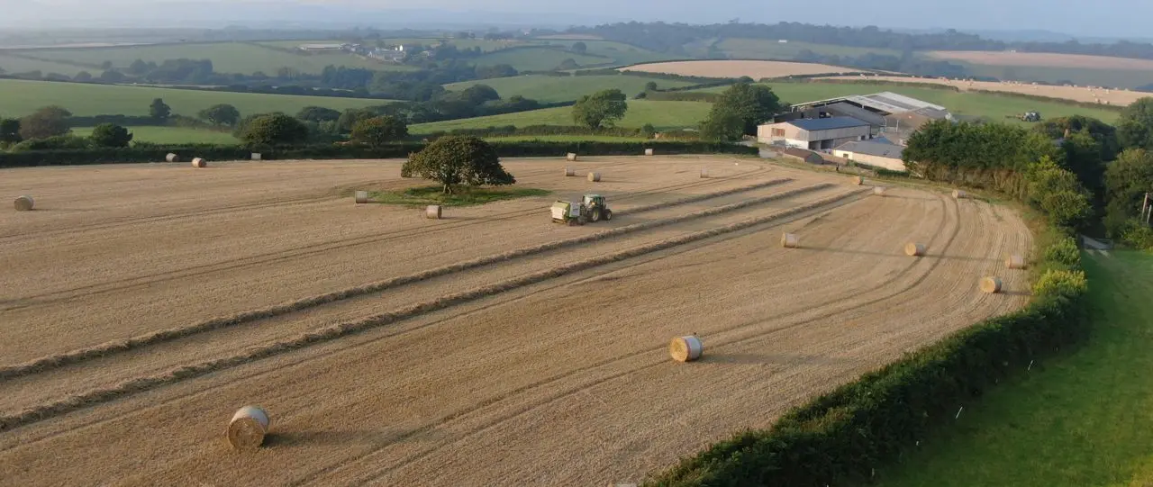 Lobbs Farm Shop photo 3