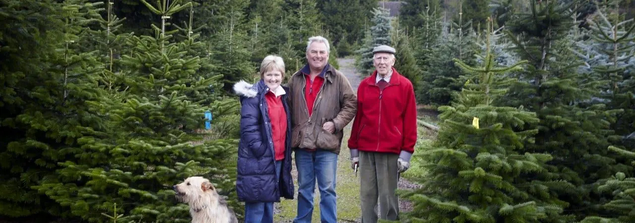 Dinmore Hill Christmas Trees & Festive Farm Weekends photo 3