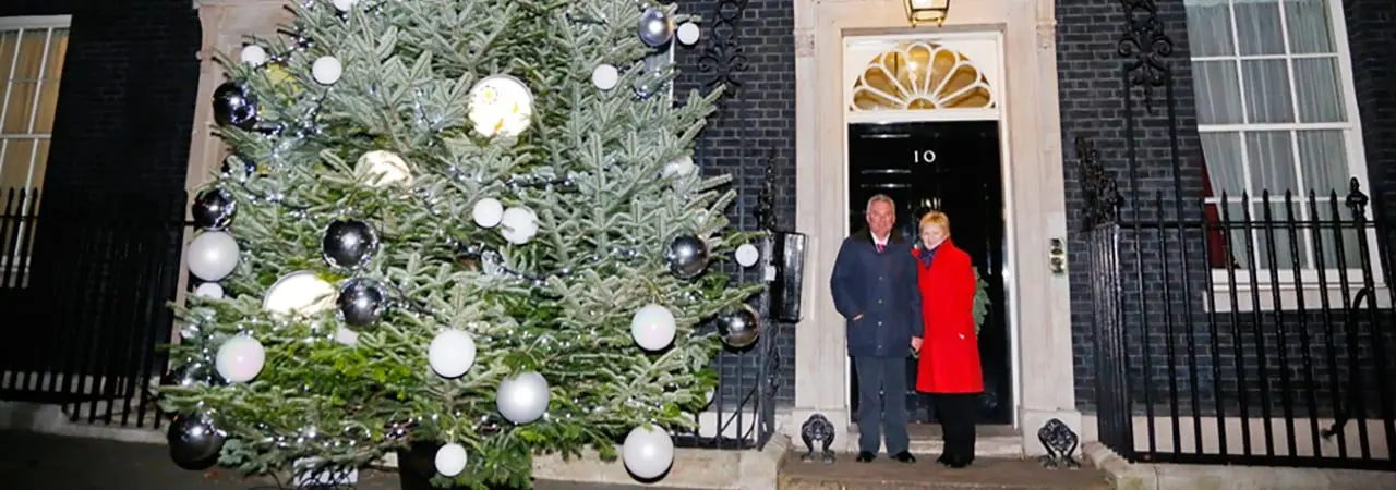 Dinmore Hill Christmas Trees & Festive Farm Weekends photo 4