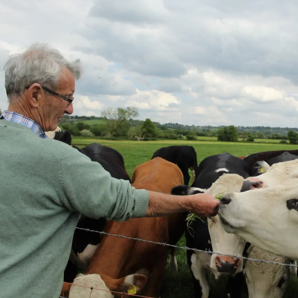 Poulshot Lodge Farm photo 4