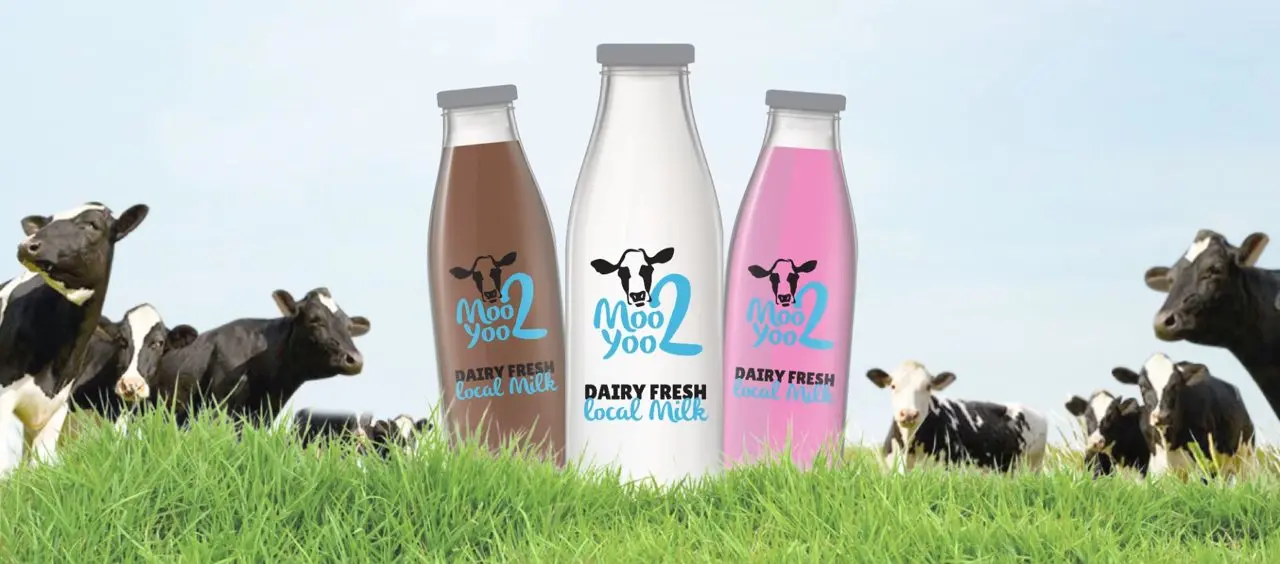 Moo2Yoo main photo