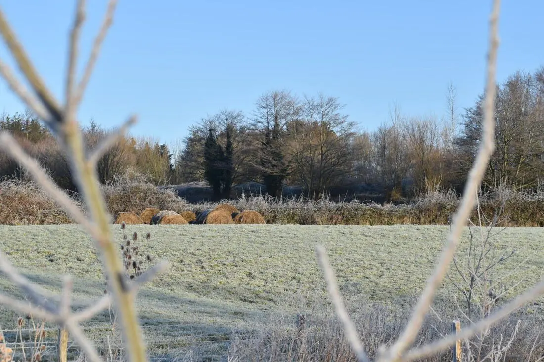 Manor Farm photo 3