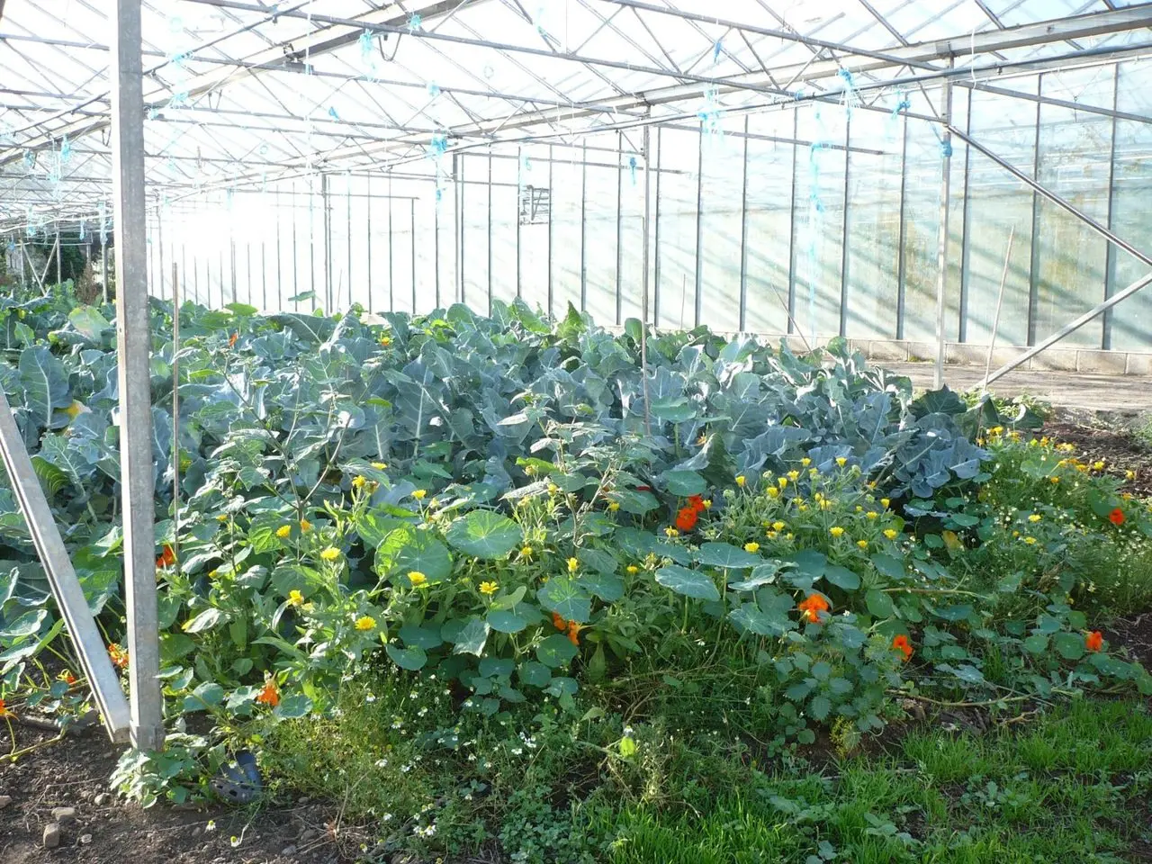 Growing with Grace photo 1
