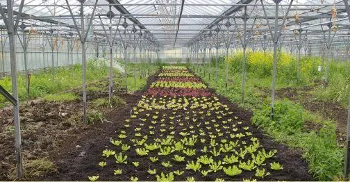 Growing with Grace photo 3