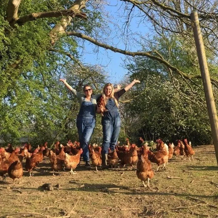 The Mac's Farm photo 1