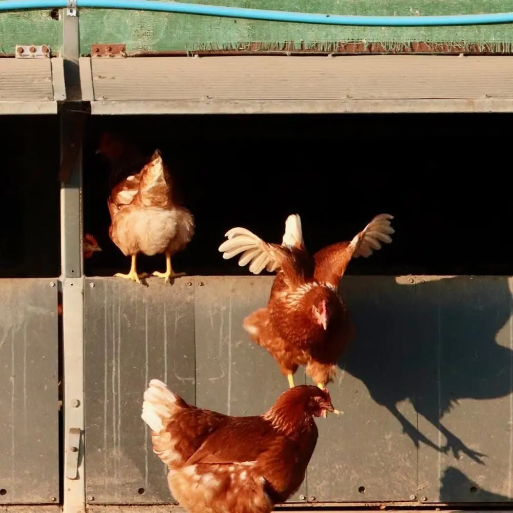 Rookery Farm photo 1