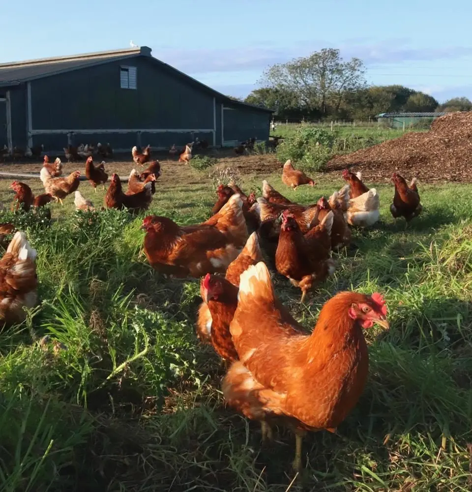 Rookery Farm photo 2