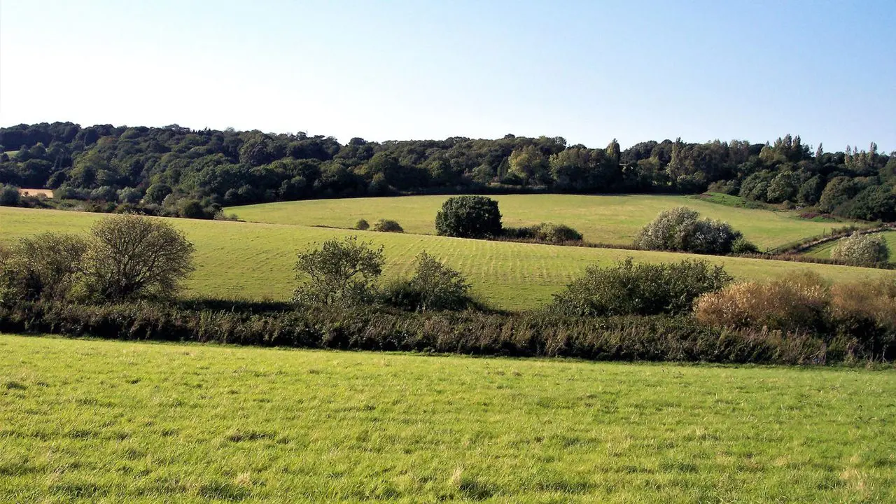 Woodlands Farm Trust (Woodlands Farm) main photo