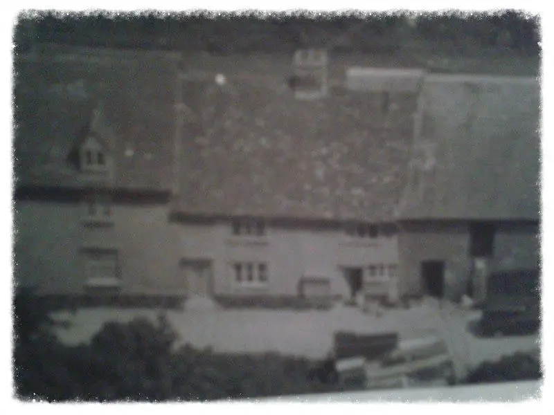 Fieldgate Nurseries photo 1