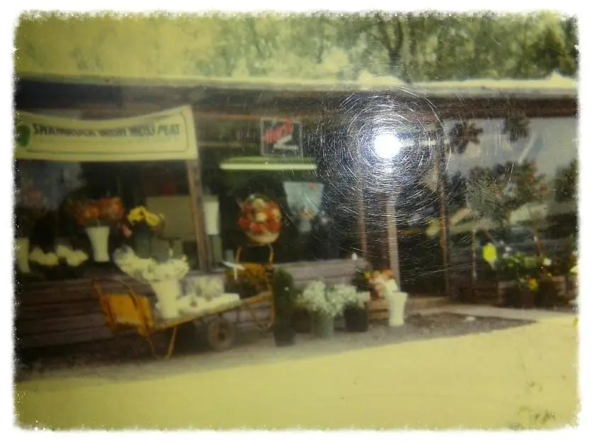 Fieldgate Nurseries photo 3