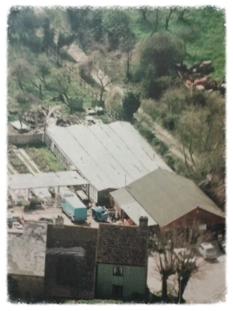 Fieldgate Nurseries photo 4