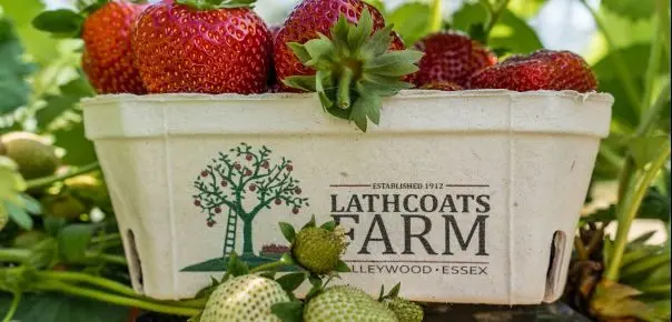 Lathcoats Farm photo 4