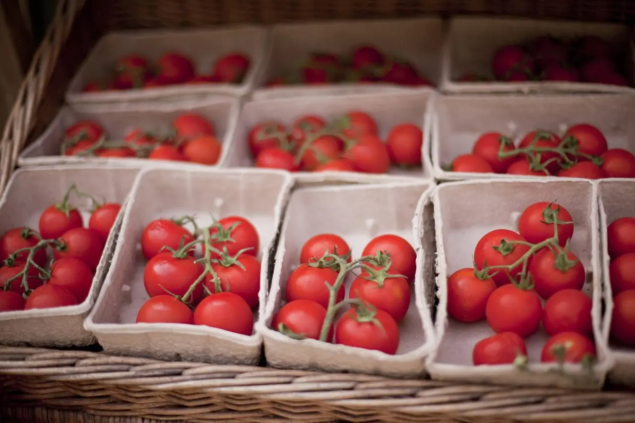 Ben's Farm Shop (Yealmpton) photo 3