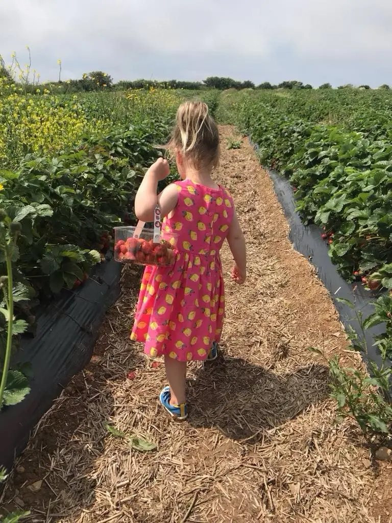 Trevathan Farm photo 4