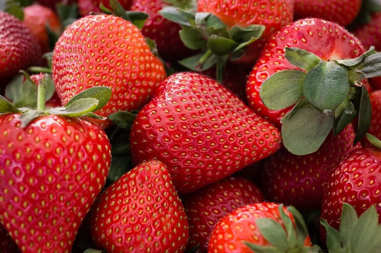 Berries Unlocked photo 2