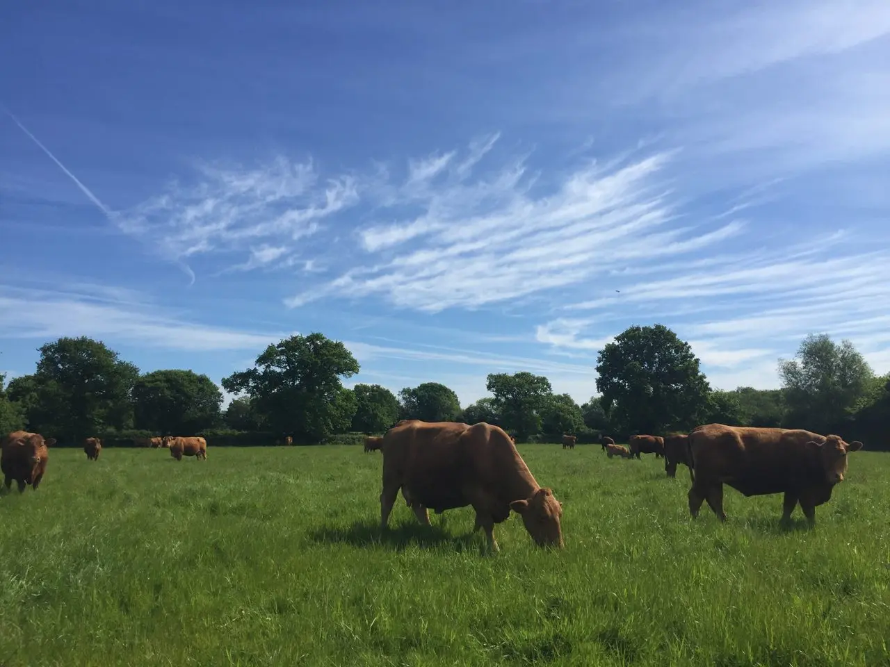 Peakhill Farm main photo