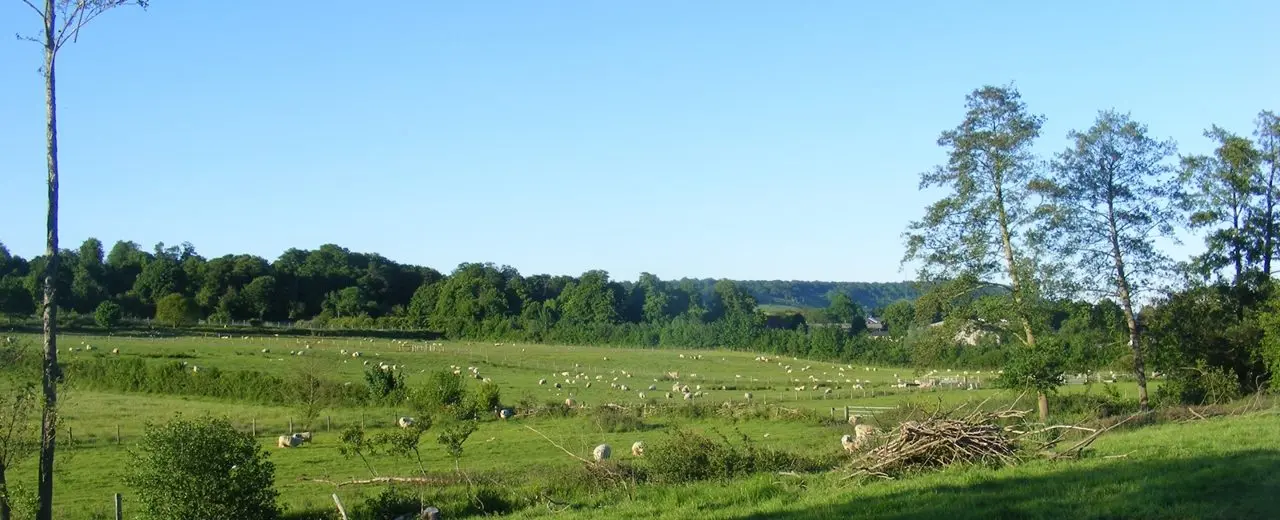 Sondes Place Farm photo 2